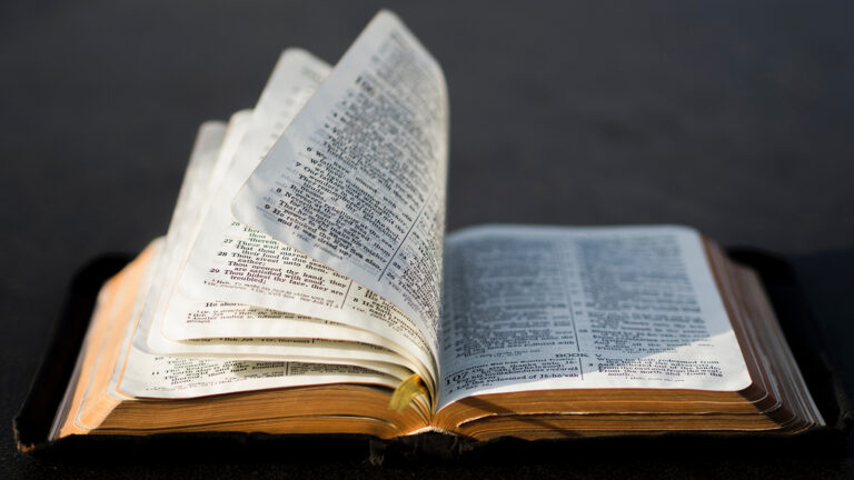 Bible header